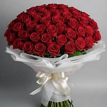 Букет 101 Красная роза Блэк Мэджик в Тулуне