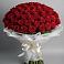Букет 101 Красная роза Блэк Мэджик в Тулуне