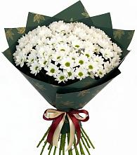 Букет цветов из:  Хризантемы #REPLACE_PRED# Тулуне