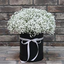 Цветочная композиция из Гипсофила в шляпной коробке в Тулуне