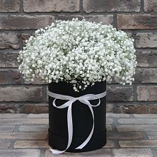 Цветочная композиция из Гипсофила в шляпной коробке в Тулуне